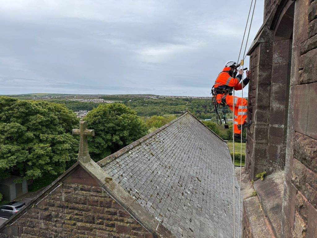 Rope Access inspection for Protected Species